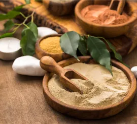 Botanical Extracts